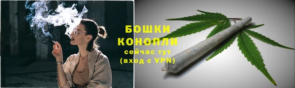 спиды Верея