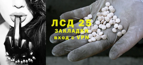 спиды Верея