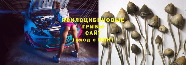 прущая мука Верхний Тагил