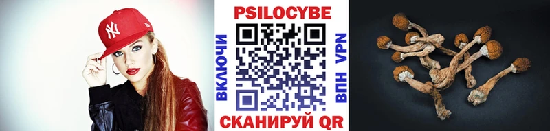 Галлюциногенные грибы MAGIC MUSHROOMS  Купить  Аша 